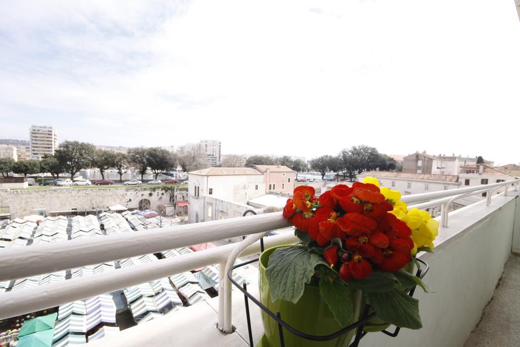 City Center Accommodation زادار الغرفة الصورة